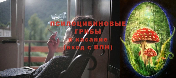 мет Туринск